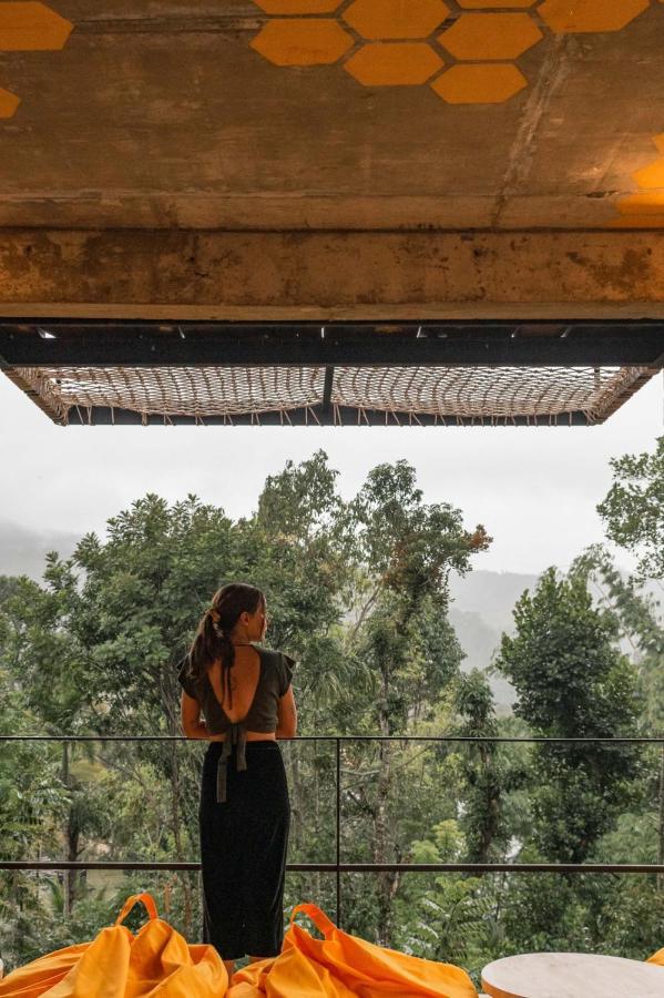 Wild Bee Hostel Ella Εξωτερικό φωτογραφία