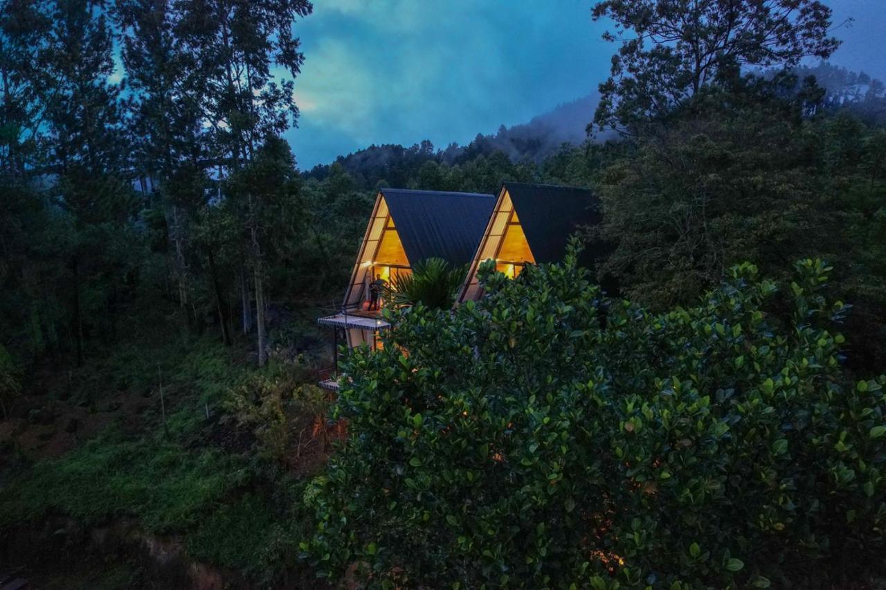 Wild Bee Hostel Ella Εξωτερικό φωτογραφία