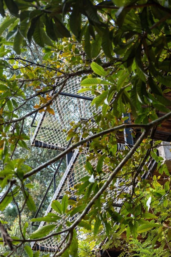 Wild Bee Hostel Ella Εξωτερικό φωτογραφία